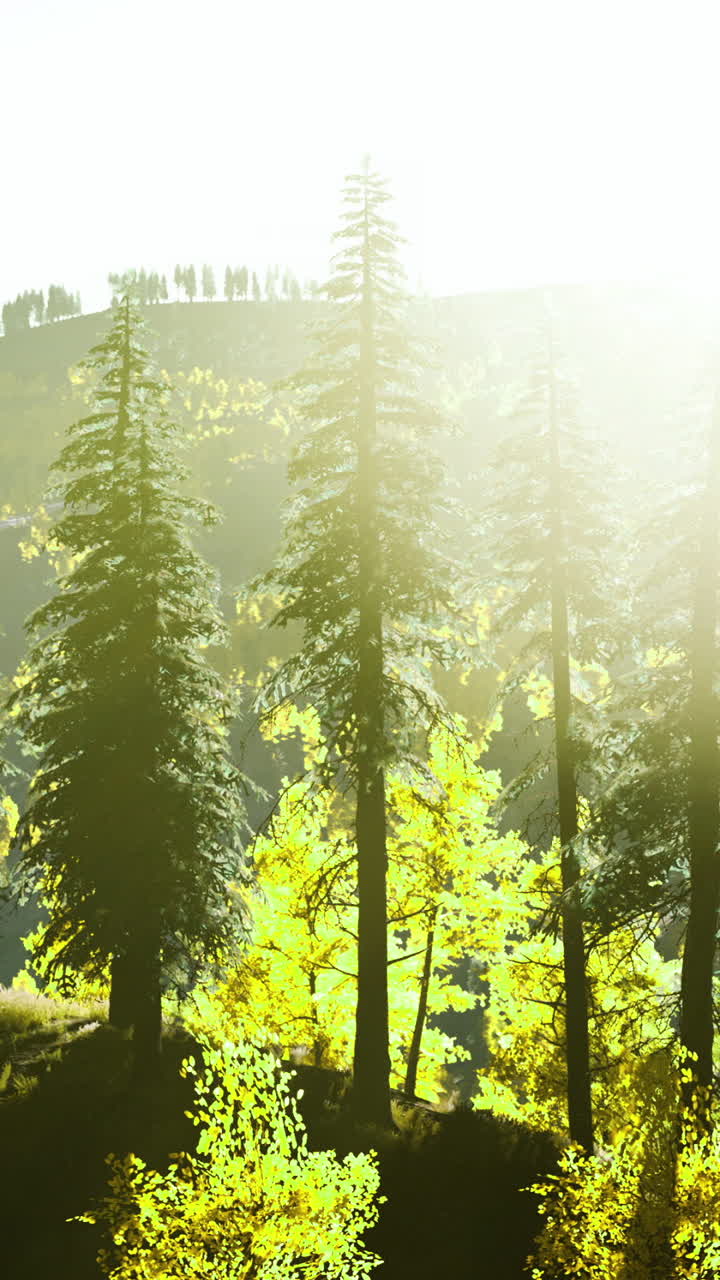 Nature awakens in golden light at dawn over vibrant green hills