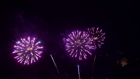 purple fireworks explode in the night sky