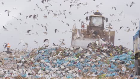 vehículos que limpian la basura apilada en un vertedero lleno de basura