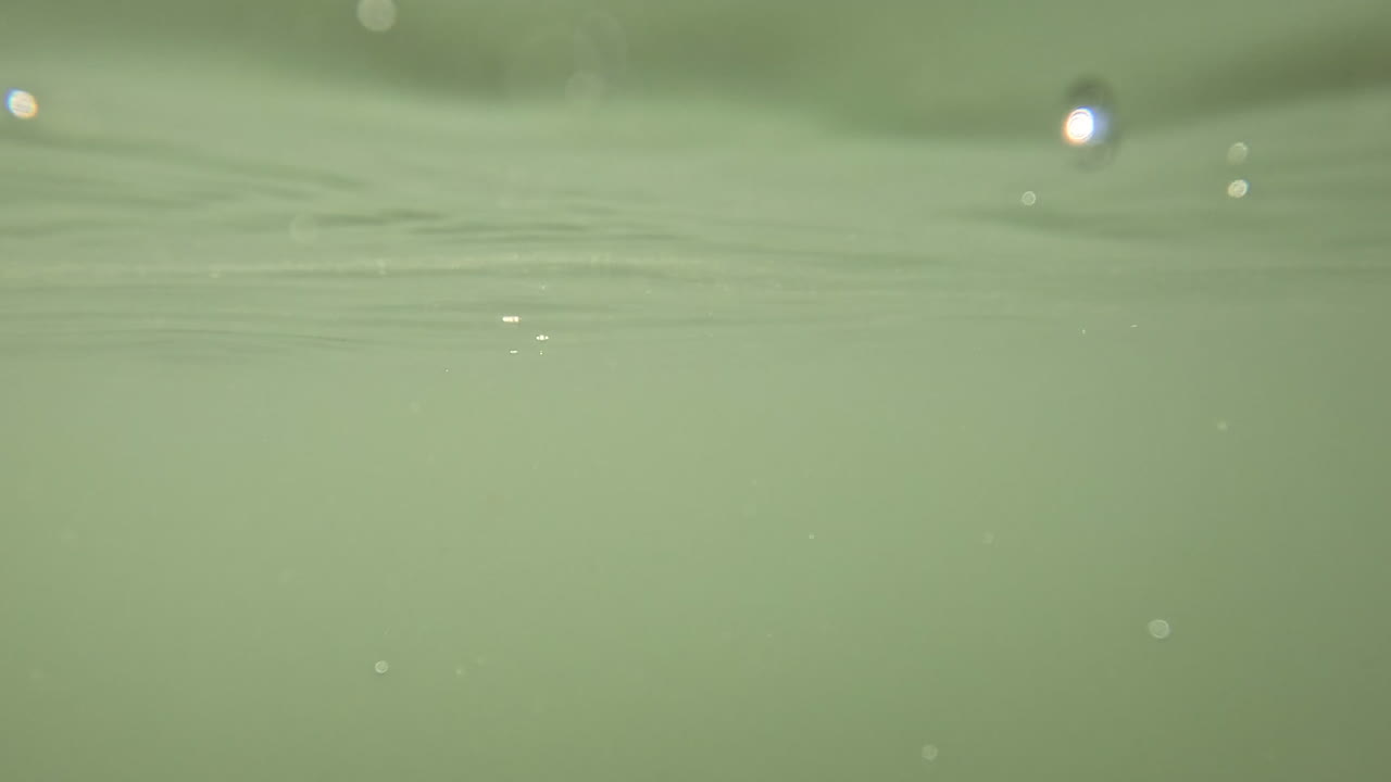Camera at water surface of Sinepuxent Bay with loons on posts. Camera submerges