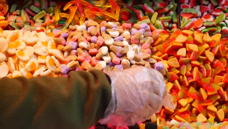 a colorful variety of gummy candy