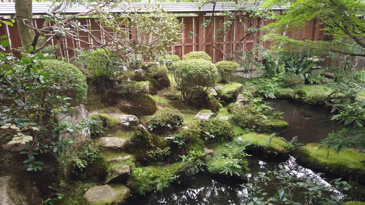 京都の日本の庭園の風景 池と地元の植物と 夏の禅の瞑想的な ⁇ 囲気 茂る植生