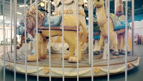 little beautiful girl child standing near the carousel holding hands by the fence surprised eyes 2