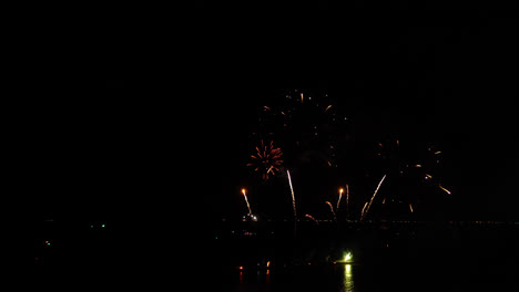 hermosa celebración abstracto colorido espectáculo de fuegos artificiales en el fondo de la noche