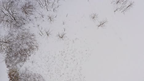 búsqueda de drones en un paisaje blanco invernal con vistas a los alpes nevados en el fondo en un día nublado de invierno