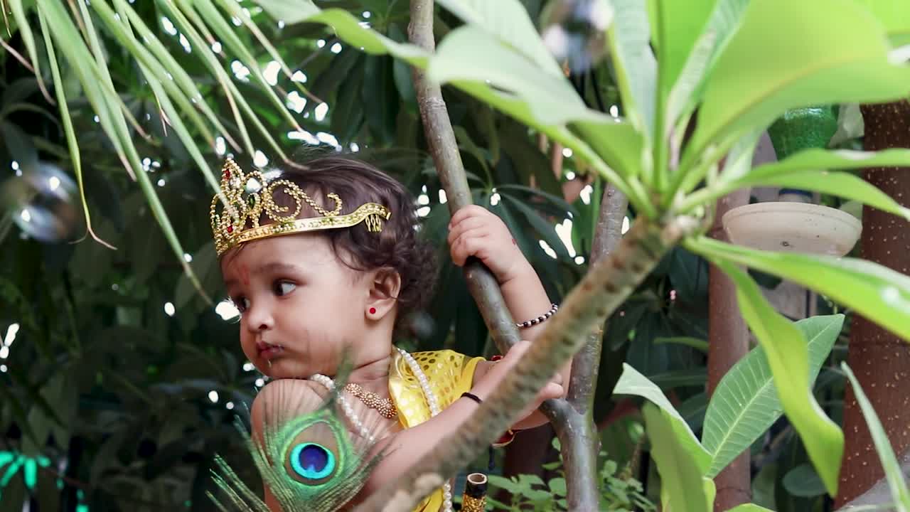 un bebé adorable vestido como el dios hindú Krishna con una linda expresión facial jugando en el árbol en Janmashtami