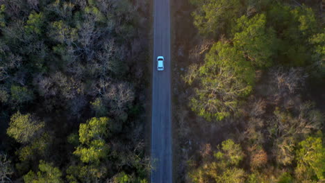 tir de drone d'une voiture blanche roulant dans la forêt près de merida mexique