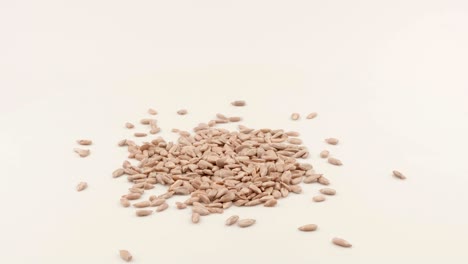 kernel sunflower seeds. seeds without the shell. white background.