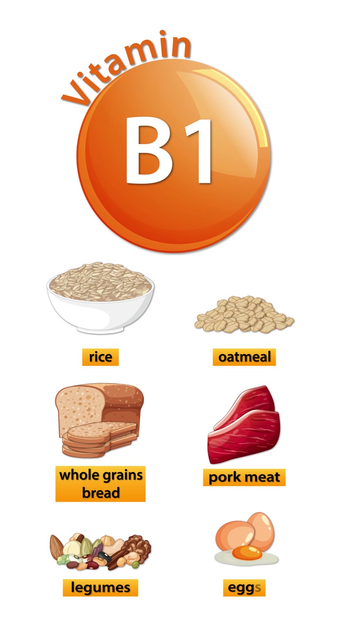 Infografica animata che rivela le fonti di Vitamina B1, aggiungendo sequenzialmente riso, farina d'avena, pane, maiale, legumi, uova.