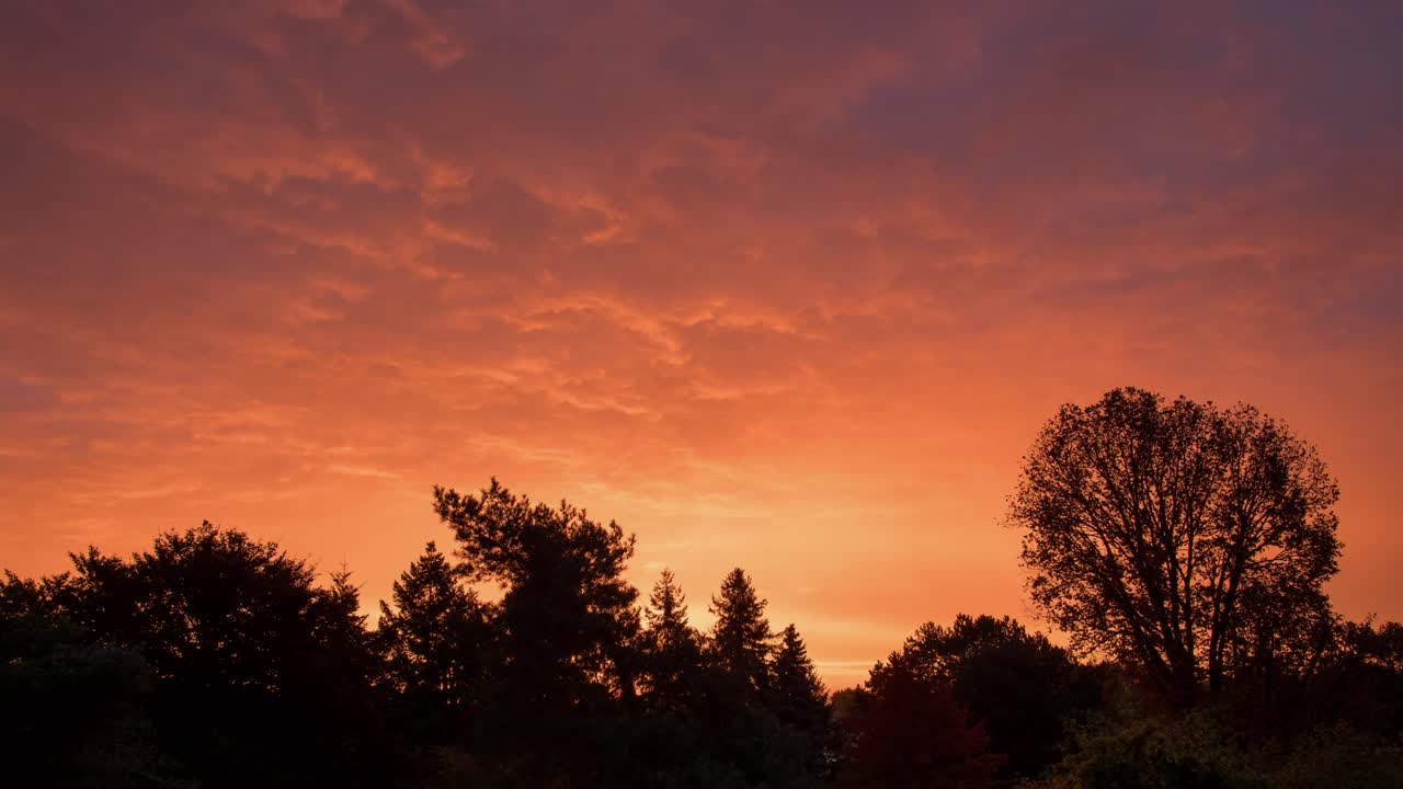 나무 너머 아름다운 아침 일출 - 시간 경과
