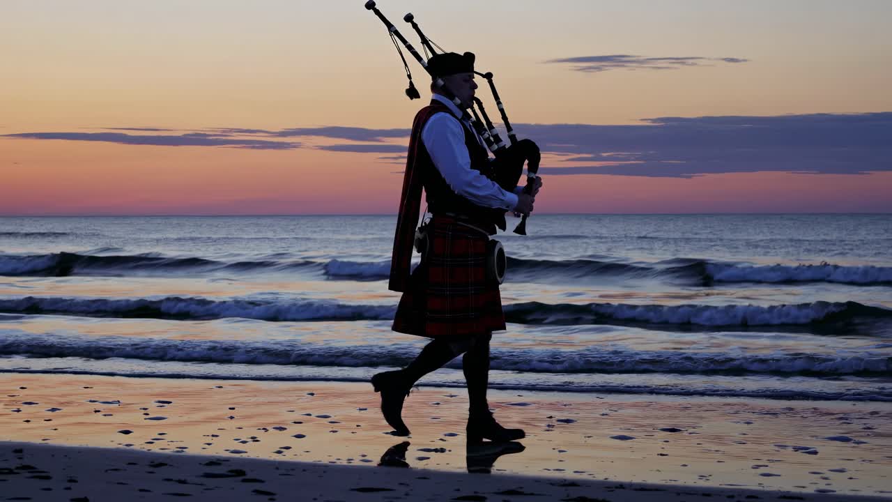 해가 지면 해변에 있는 파이퍼