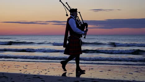 piper on the beach at sunset