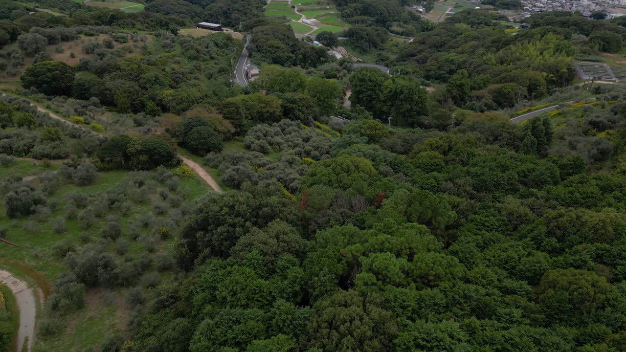 Cinematic slow motion drone tilt up over green tea fields in Japan with ocean in distance