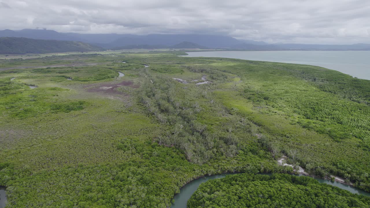 vista aérea de la antigua selva tropical en port douglas cerca de cairns en el norte de queensland, australia