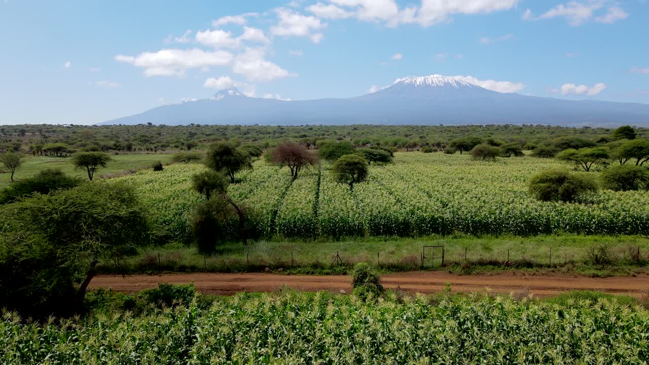Drone in volo sulle fattorie alle pendici del Kilimangiaro - Fattorie verdi del Kenya, insediamenti poveri in Africa, piantagione agronomica ripresa dall'alto