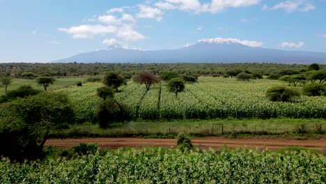 drone flying in farms in kilimanjaro slopes- green kenya farms, poor settlement africa aerial agronomic plantation