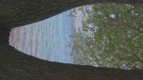 A-beautiful-blue-lake-from-the-between-the-branges-of-a-tree-on-the-treeline-in-the-rural-landscape-of-Patagonia,-Argentina