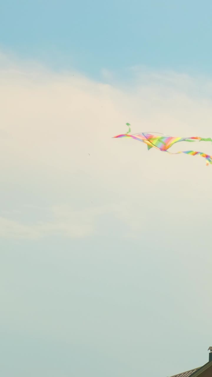A colorful kite flies in the sky
