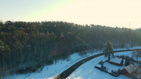 Tall-Coniferous-Trees-In-The-Forest-With-Vehicles-Passing-By-In-The-Highway