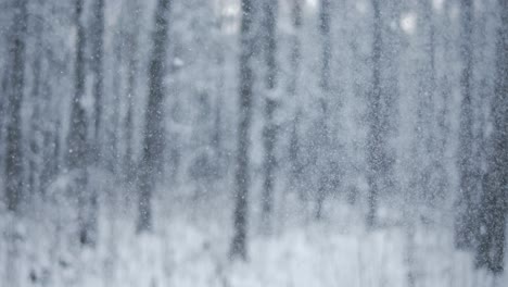 Winterlandschaft-Bei-Schneefall.-Abstrakter-Hintergrund-Für-Winterweihnachten-In-Superzeitlupe.