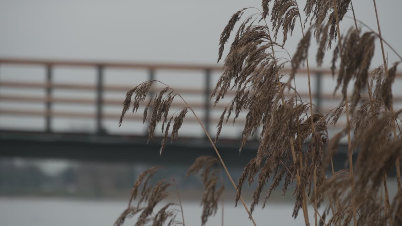 Pedestrian Bridge Over The River On A Cloudy Day.