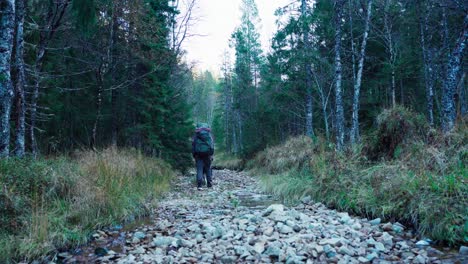 Hildremsvatnet,-Trondelag,-Norway---A-Man-and-His-Canine-Companion-Navigate-a-Rugged-Trail,-Close-to-Windmill-Park---Static-Shot