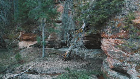 Naturlehrpfad-Cecilu-In-Ieriki,-Lettland