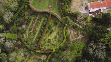 aerial footage of beautiful gardens and flowerbeds in terra nostra park in sao miguel