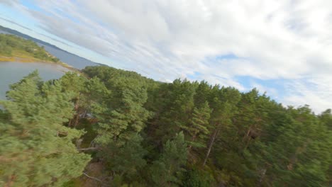 Vuelo-Aéreo-Sobre-árboles-Verdes-En-El-Bosque-Que-Muestra-El-Fiordo-Y-El-Famoso-Puente-Bombla-En-El-Fondo---Viaje-A-Noruega-En-Europa