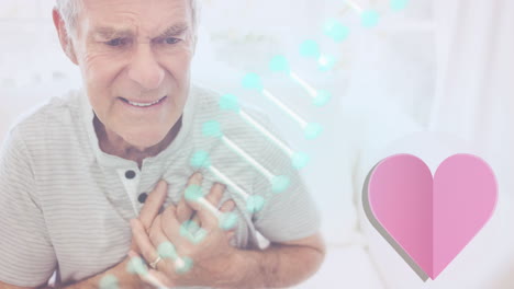 animación del icono del corazón, cadena de adn girando sobre el hombre mayor en el dolor sosteniendo su pecho