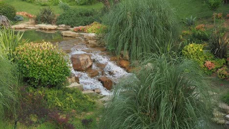 serene waterfall garden