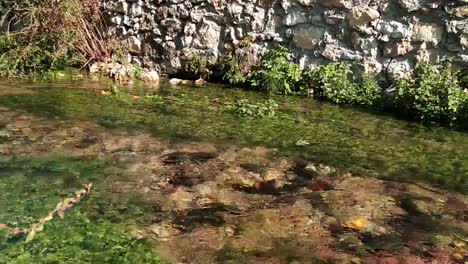 Shot-of-a-rolling-creek-with-vegetation-near-a-stone-wall-in-a-sunny-day-in-Greece