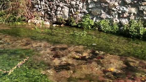 shot of a rolling creek with vegetation near a stone wall in a sunny day in greece