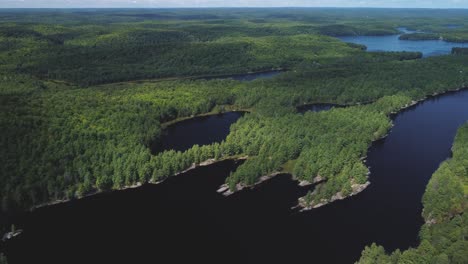 top-down drone view of a remote lake surrounded by woods and trees hb04