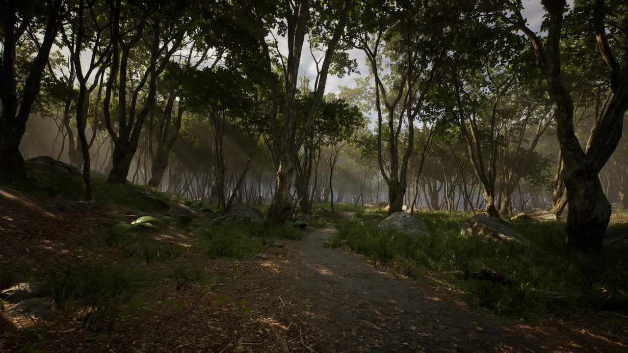 끔찍한 신비로운 마법 깊은 숲