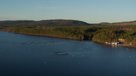 salmon farming facility in sweden