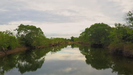 Drone-view-of-a-small-water-pound-with-trees-around-it