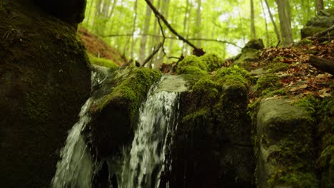 Agua-Que-Cae-De-Una-Roca-En-Un-Bosque-Salvaje-Y-Colorido