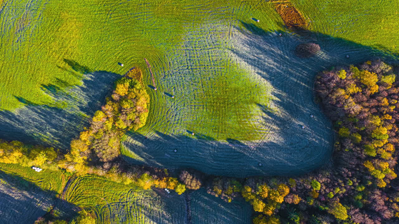 Stunning aerial view of lush green fields and vibrant autumn trees
