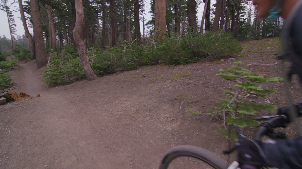 Visão em primeira pessoa de ciclistas de mountain bike pedalando em um caminho de terra através de uma floresta.