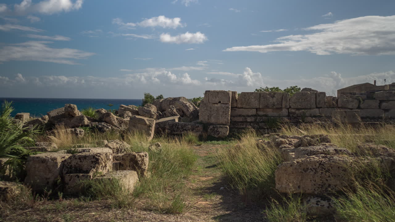 셀리눈테 dji 4k 00