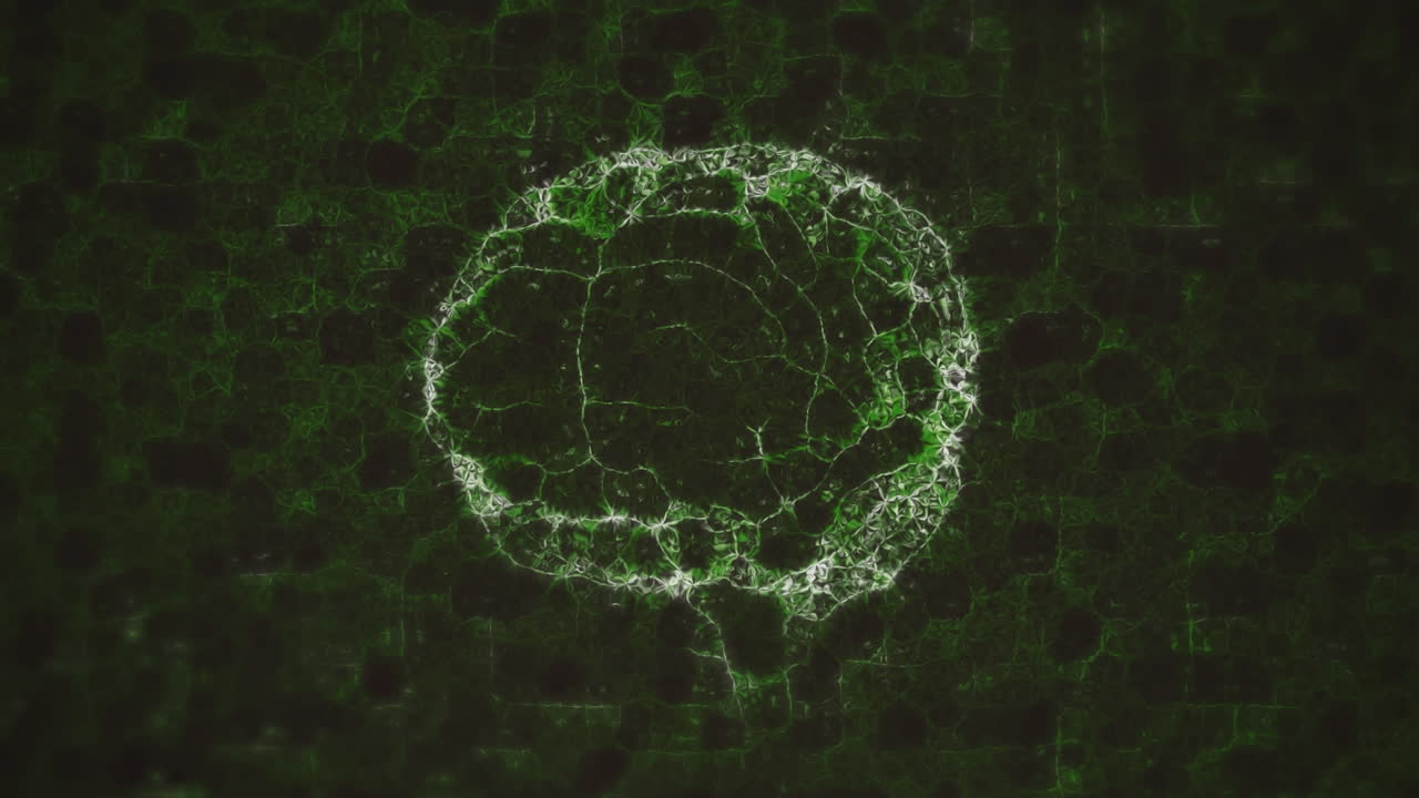 Animazione di forme e cervello su sfondo nero