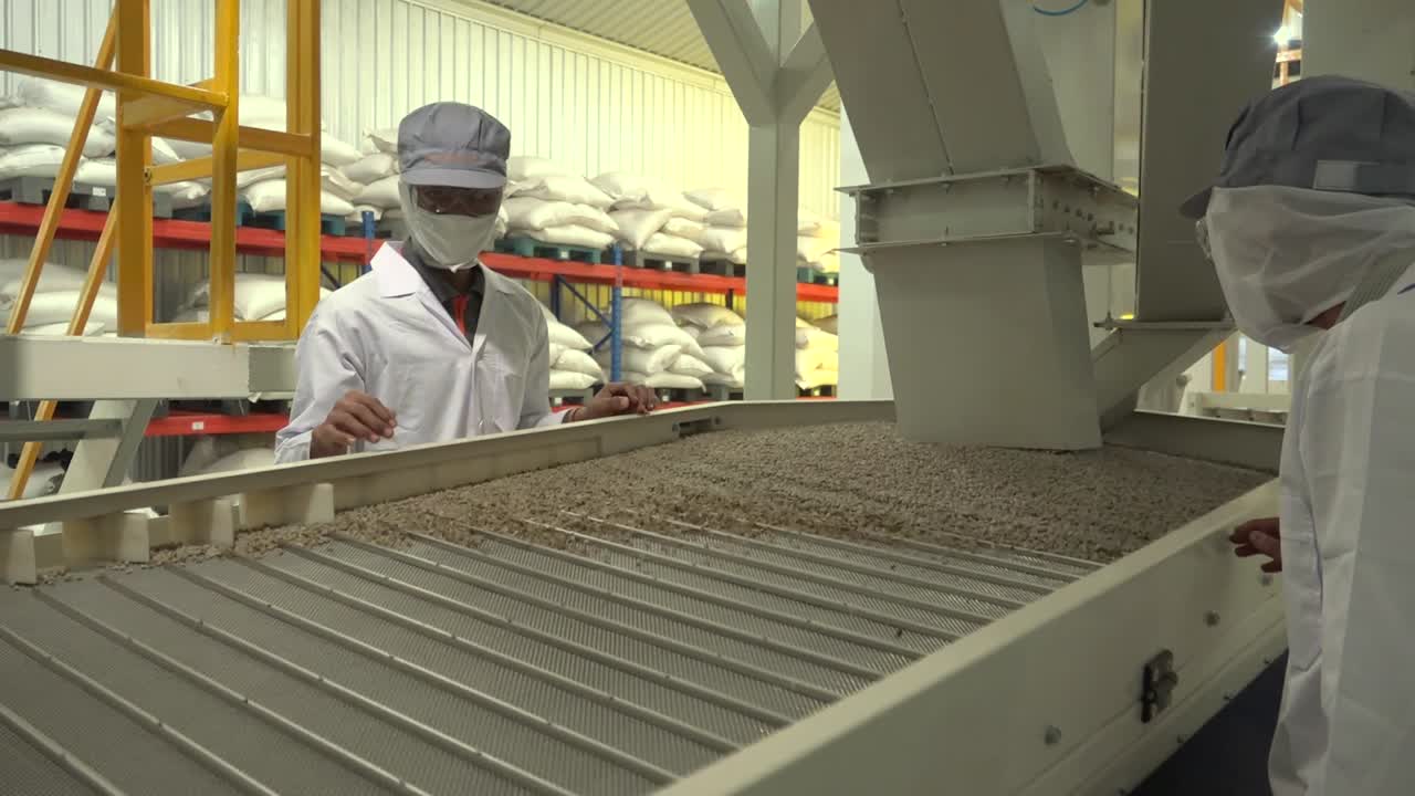 Coffee Factory
The Making Of Coffee Bean
29.97fps