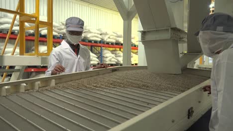 coffee factory
the making of coffee bean
29.97fps