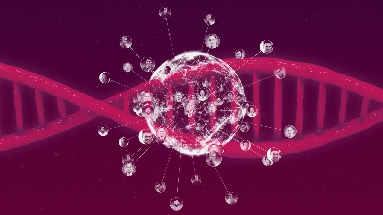 Punto bianco che inizia a pulsare, sfera che si espande inviando collegamenti a nodi, elica che si sposta mostrando la crescita della rete.