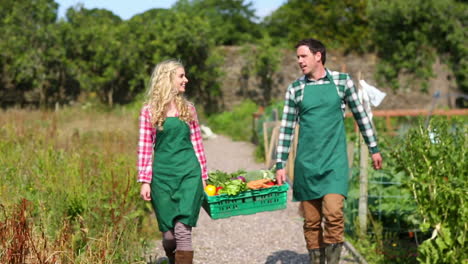 pretty couple holding a case full of vegetables together