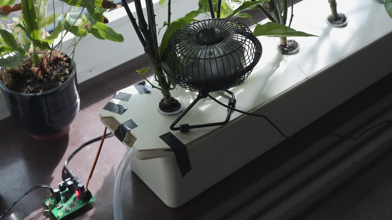 крупный план полностью автоматизированного гидропонного выращивания жнеца каролины