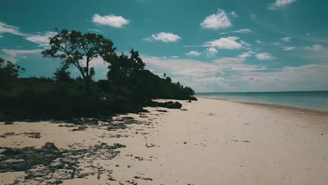 increíbles hacia adelante se elevan lentamente tomas de drones de una solitaria playa natur al mediodía