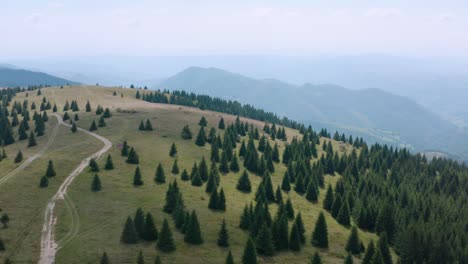 Vista-Aérea-De-La-Montaña-Golija,-Serbia