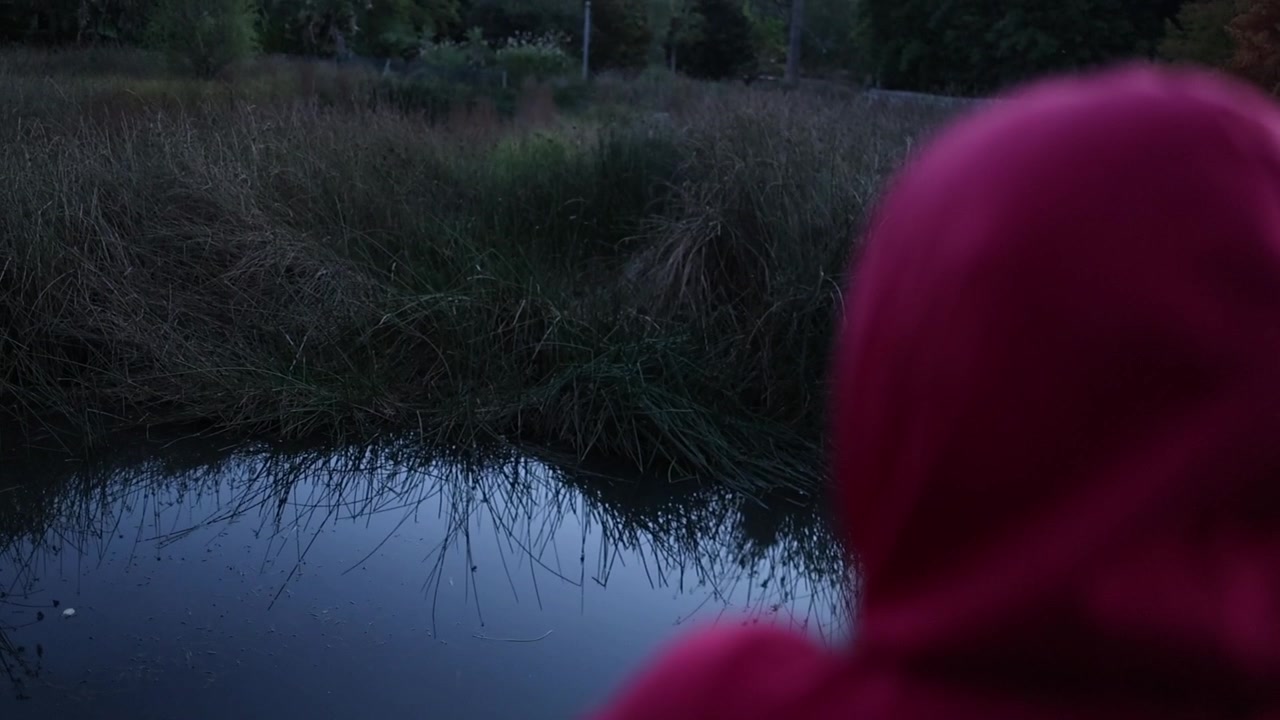 A solitary figure in a red hoodie stands by a tranquil lake at twilight, gazing over calm water. Low light creates a peaceful, introspective mood amidst natural, lush surroundings.